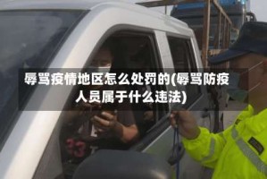 辱骂疫情地区怎么处罚的(辱骂防疫人员属于什么违法)