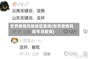 世界疫情风险地区查询(世界疫情风险等级查询)
