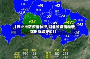 【湖北地区疫情状况,湖北省疫情最新数据新增多少?】