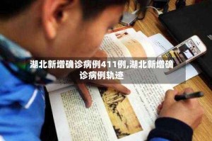 湖北新增确诊病例411例,湖北新增确诊病例轨迹