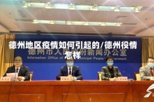 德州地区疫情如何引起的/德州役情怎样