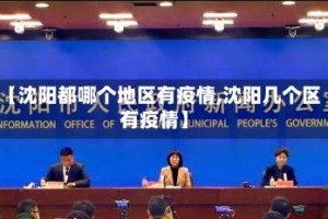 【沈阳都哪个地区有疫情,沈阳几个区有疫情】