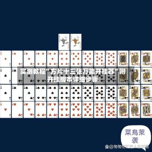 实测教程”方片十三张万能开挂器”附开挂脚本详细步骤-第2张图片