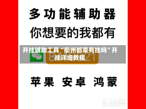 开挂辅助工具“衢州都莱有挂吗	”开挂详细教程-第2张图片