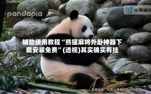 辅助使用教程“熊猫麻将外卦神器下载安装免费”(透视)其实确实有挂-第2张图片