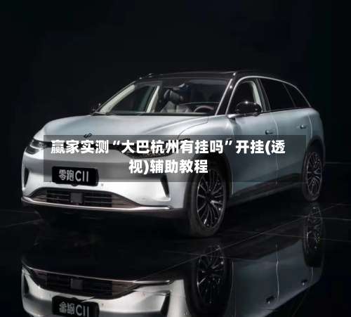 赢家实测“大巴杭州有挂吗”开挂(透视)辅助教程-第2张图片