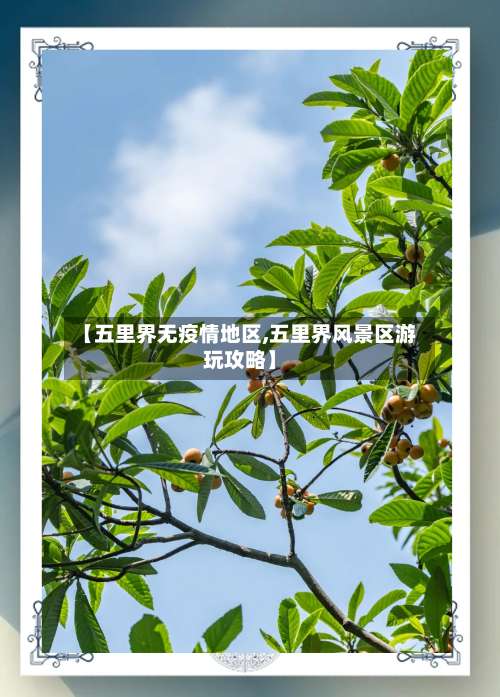 【五里界无疫情地区,五里界风景区游玩攻略】-第1张图片