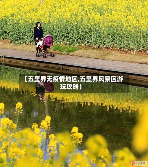 【五里界无疫情地区,五里界风景区游玩攻略】-第3张图片