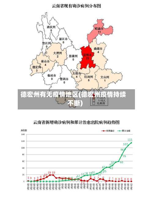 德宏州有无疫情地区(德宏州疫情持续不断)-第1张图片
