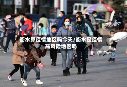 衡水算疫情地区吗今天/衡水是疫情高风险地区吗-第1张图片