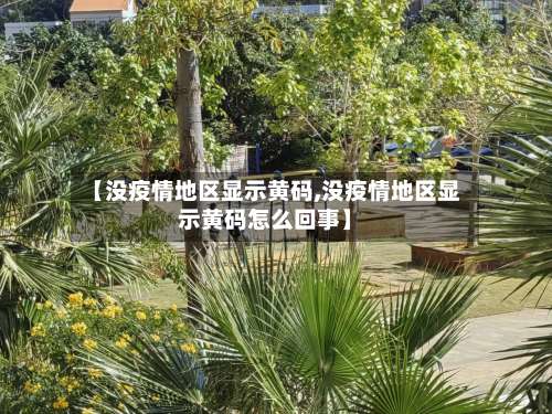 【没疫情地区显示黄码,没疫情地区显示黄码怎么回事】-第1张图片