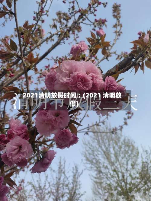 2021清明放假时间︰(2021 清明放假)-第2张图片