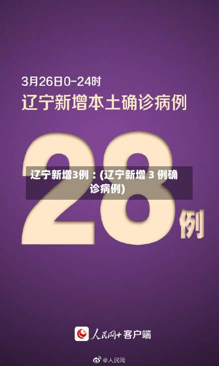 辽宁新增3例︰(辽宁新增 3 例确诊病例)-第2张图片