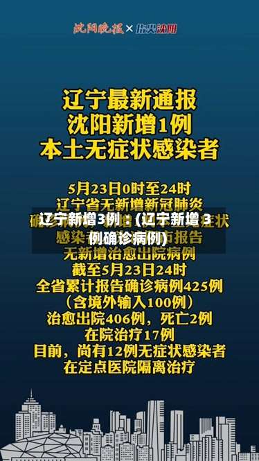 辽宁新增3例︰(辽宁新增 3 例确诊病例)-第3张图片