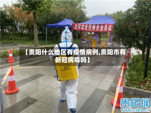【贵阳什么地区有疫情病例,贵阳市有新冠病毒吗】-第2张图片