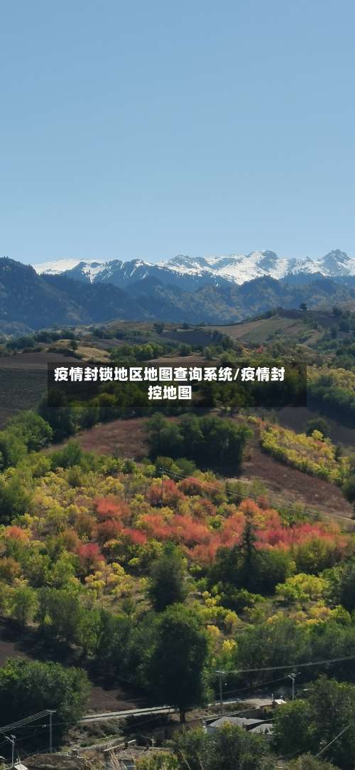 疫情封锁地区地图查询系统/疫情封控地图-第2张图片