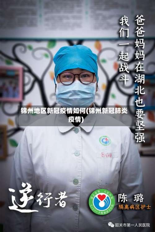 锦州地区新冠疫情如何(锦州新冠肺炎疫情)-第2张图片