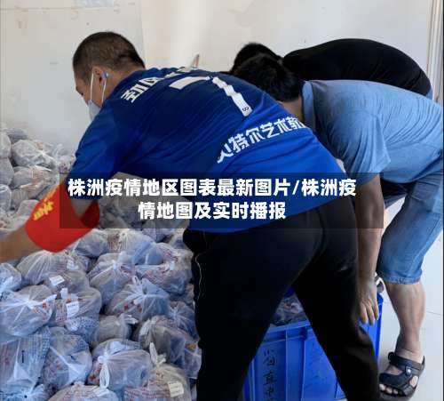 株洲疫情地区图表最新图片/株洲疫情地图及实时播报-第2张图片