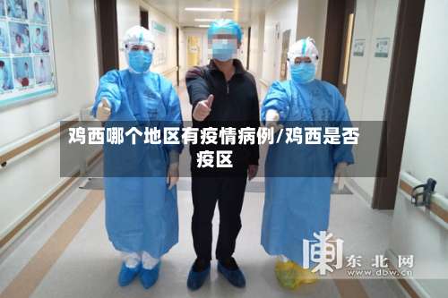 鸡西哪个地区有疫情病例/鸡西是否疫区-第3张图片